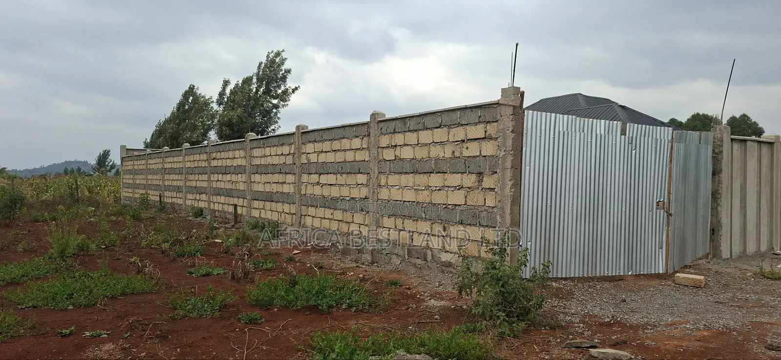 50x100 Available Plot for Sale in Kikuyu Thigio in Kikuyu