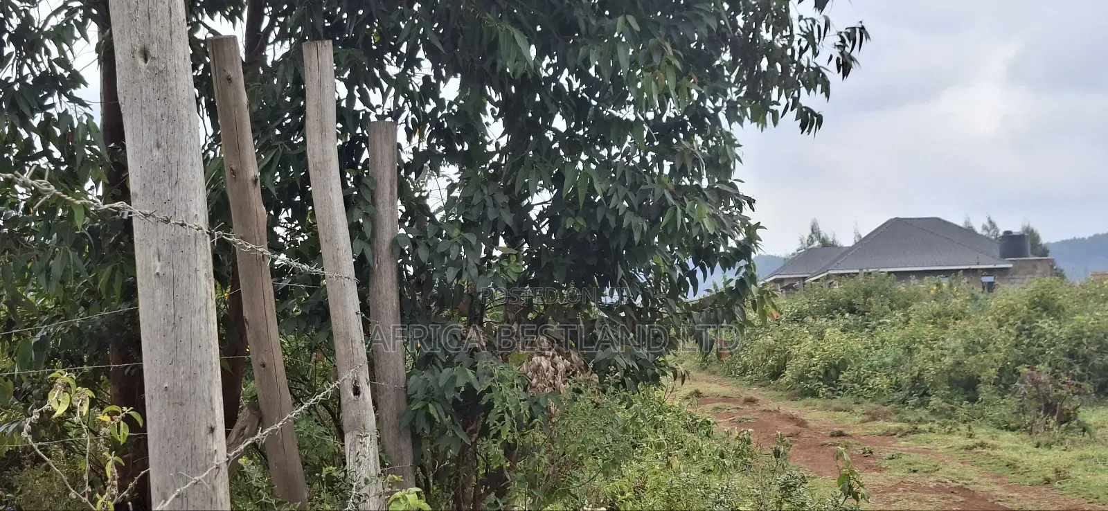 50x100 Available Plot for Sale in Kikuyu Thigio in Kikuyu