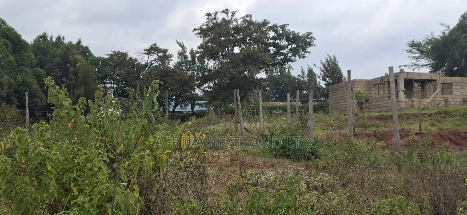 50x100 Available Plot for Sale in Kikuyu Thigio in Kikuyu