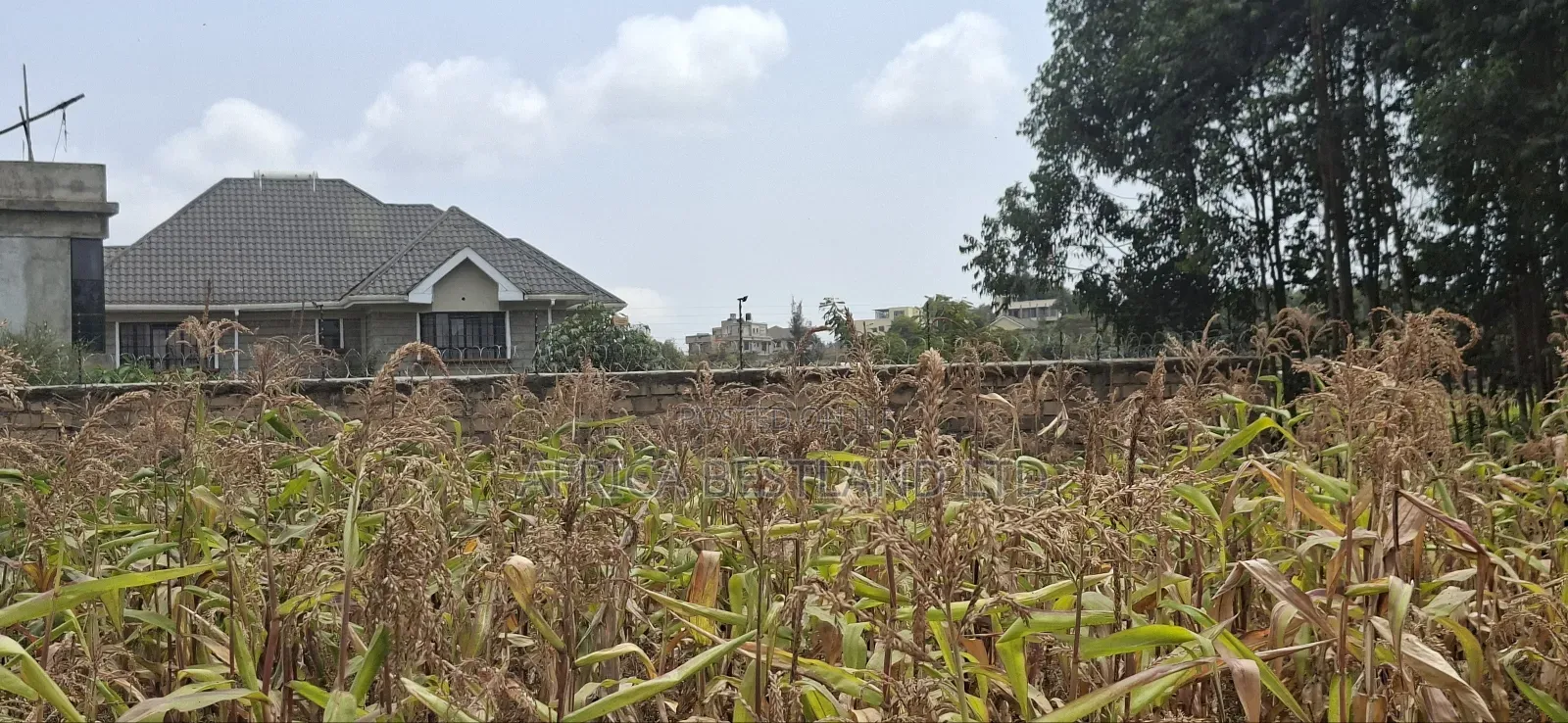 100x100 Available Plot for Sale in Kikuyu Lusigetti Kiambu County in Kikuyu