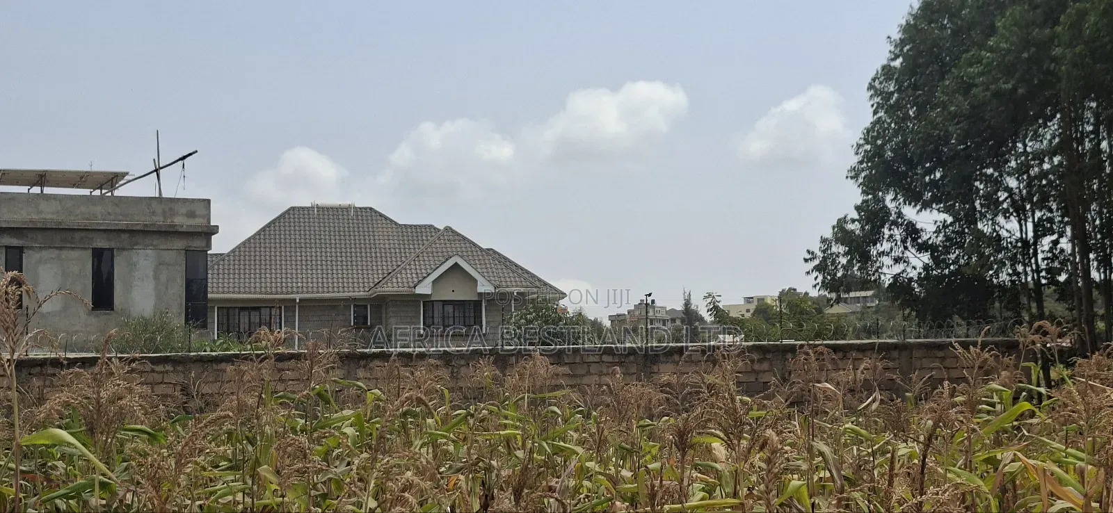 100x100 Available Plot for Sale in Kikuyu Lusigetti Kiambu County in Kikuyu