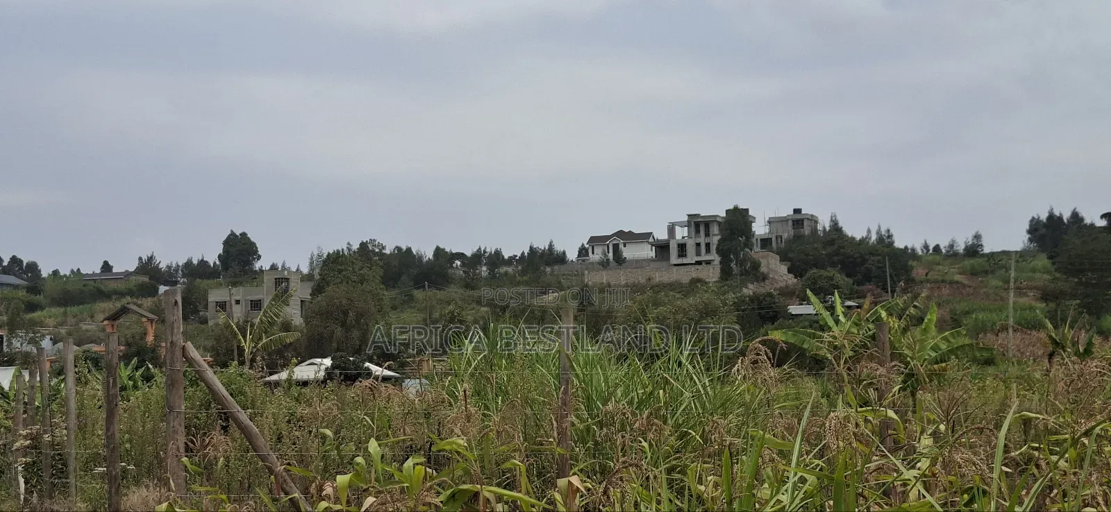 100x100 Available Plot for Sale in Kikuyu Lusigetti Kiambu County in Kikuyu