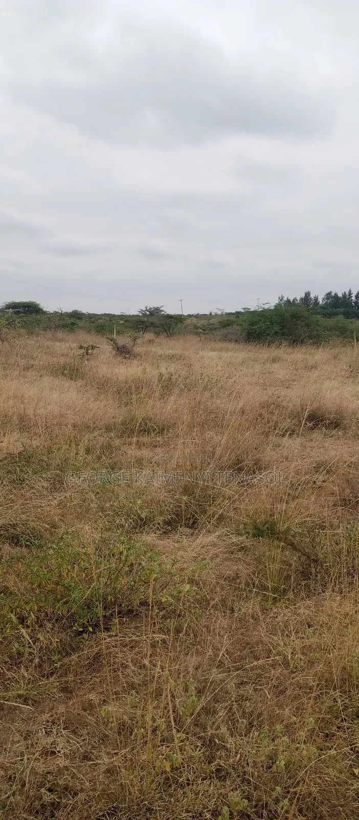 5acre's of Land for Sale Near Entarakwet Hotel, Kiserian Ishinya Road in Kiserian
