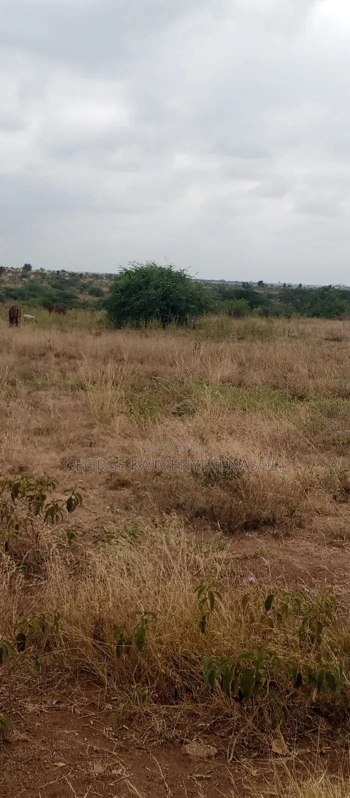 5acre's of Land for Sale Near Entarakwet Hotel, Kiserian Ishinya Road in Kiserian