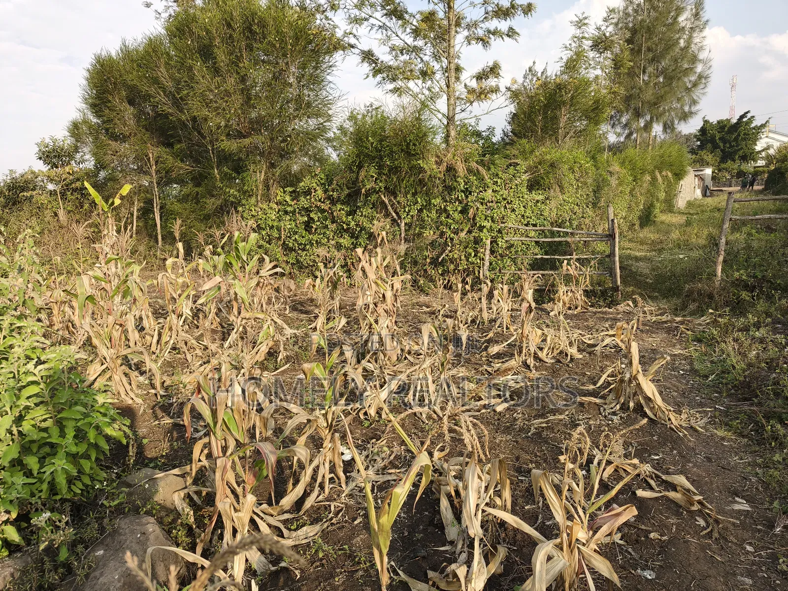 Eighth Acre Plot for Sale in Ngong, Olkeri 50 Meters From Tarmac in Ngong