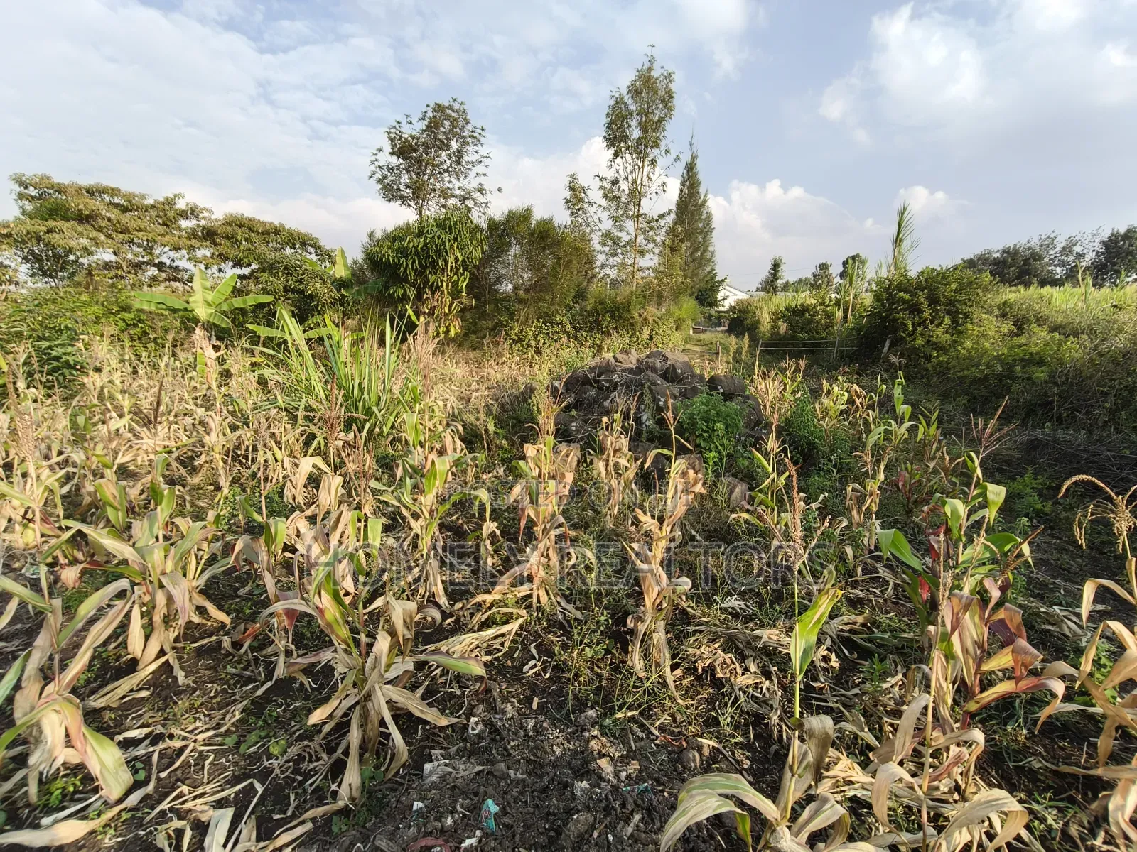 Eighth Acre Plot for Sale in Ngong, Olkeri 50 Meters From Tarmac in Ngong