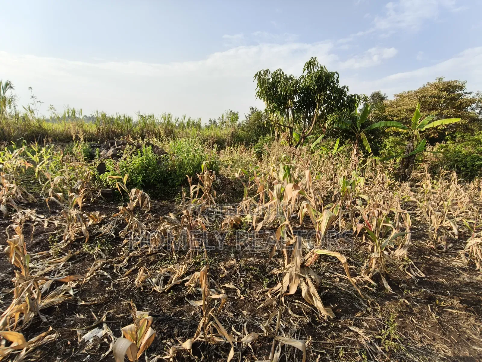Eighth Acre Plot for Sale in Ngong, Olkeri 50 Meters From Tarmac in Ngong