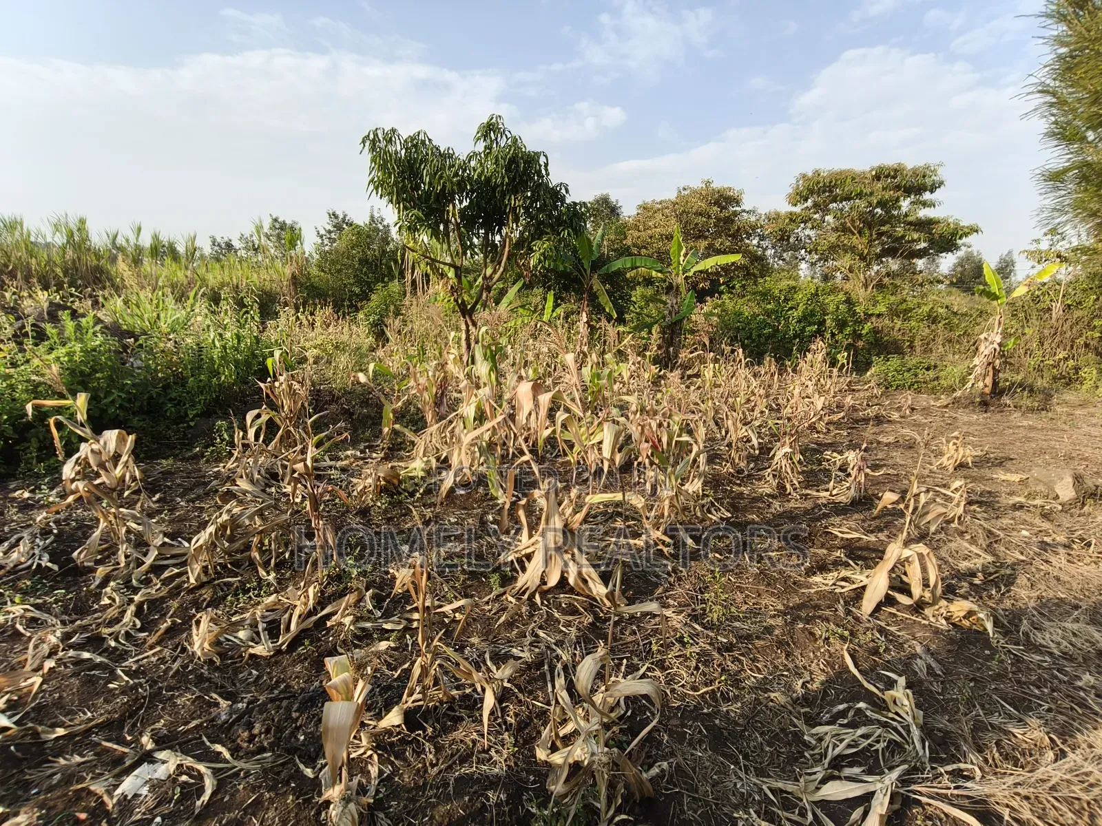 Eighth Acre Plot for Sale in Ngong, Olkeri 50 Meters From Tarmac in Ngong