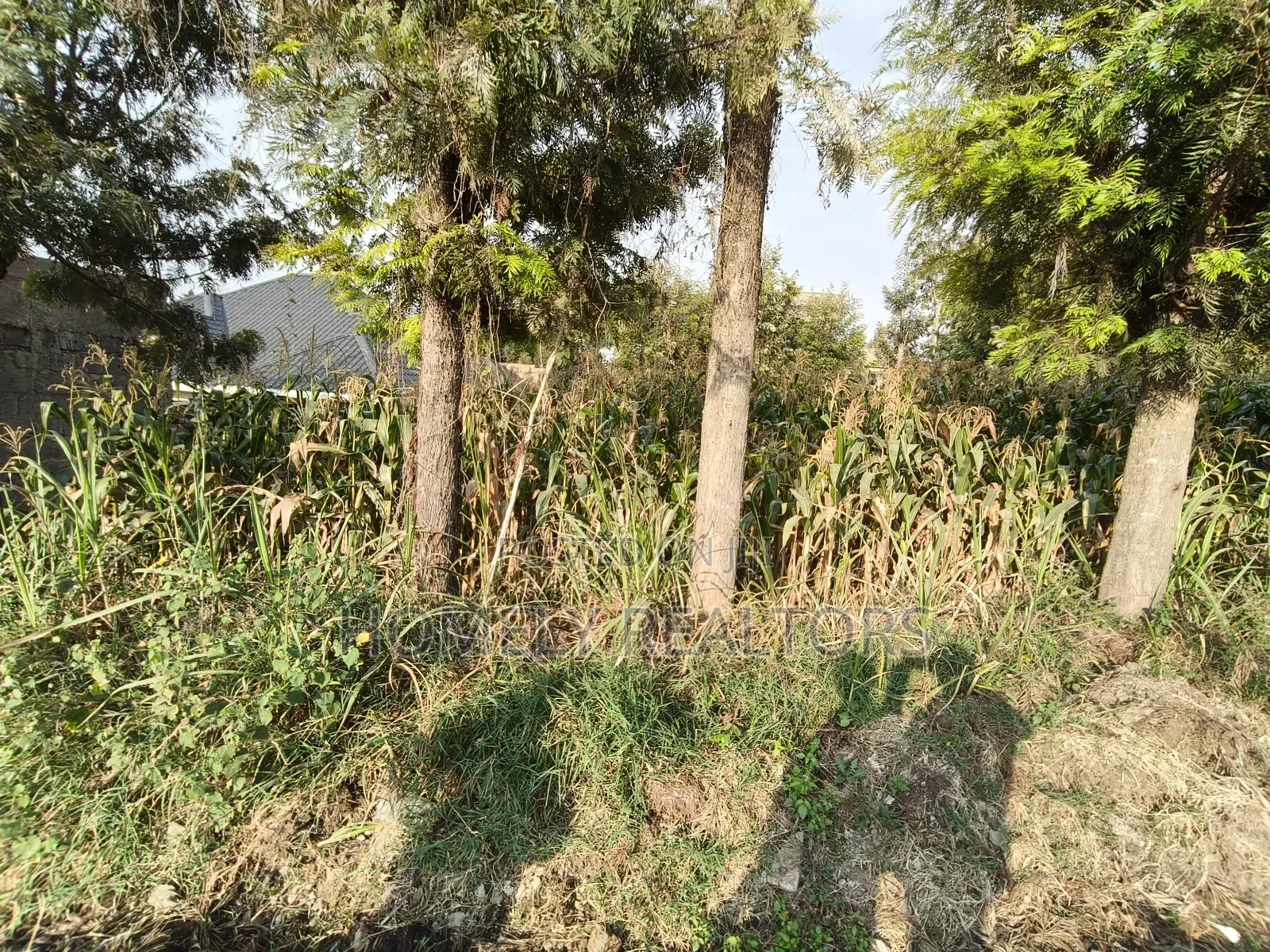 Residential Eighth Acre Plot in Ngong, Olkeri 250 Meters From Tarmac in Ngong