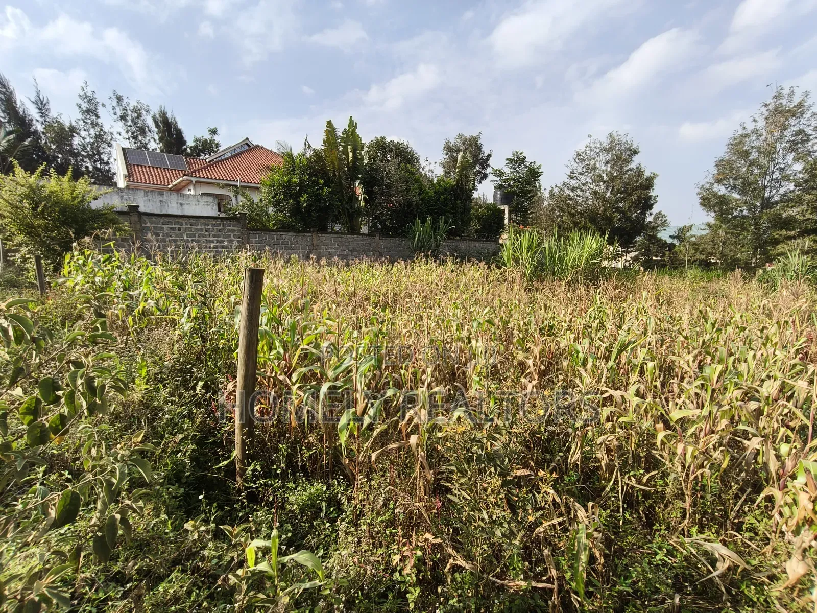 Residential Eighth Acre Plot on Sale in Ngong, Matasia Near Tarmac in Matasia