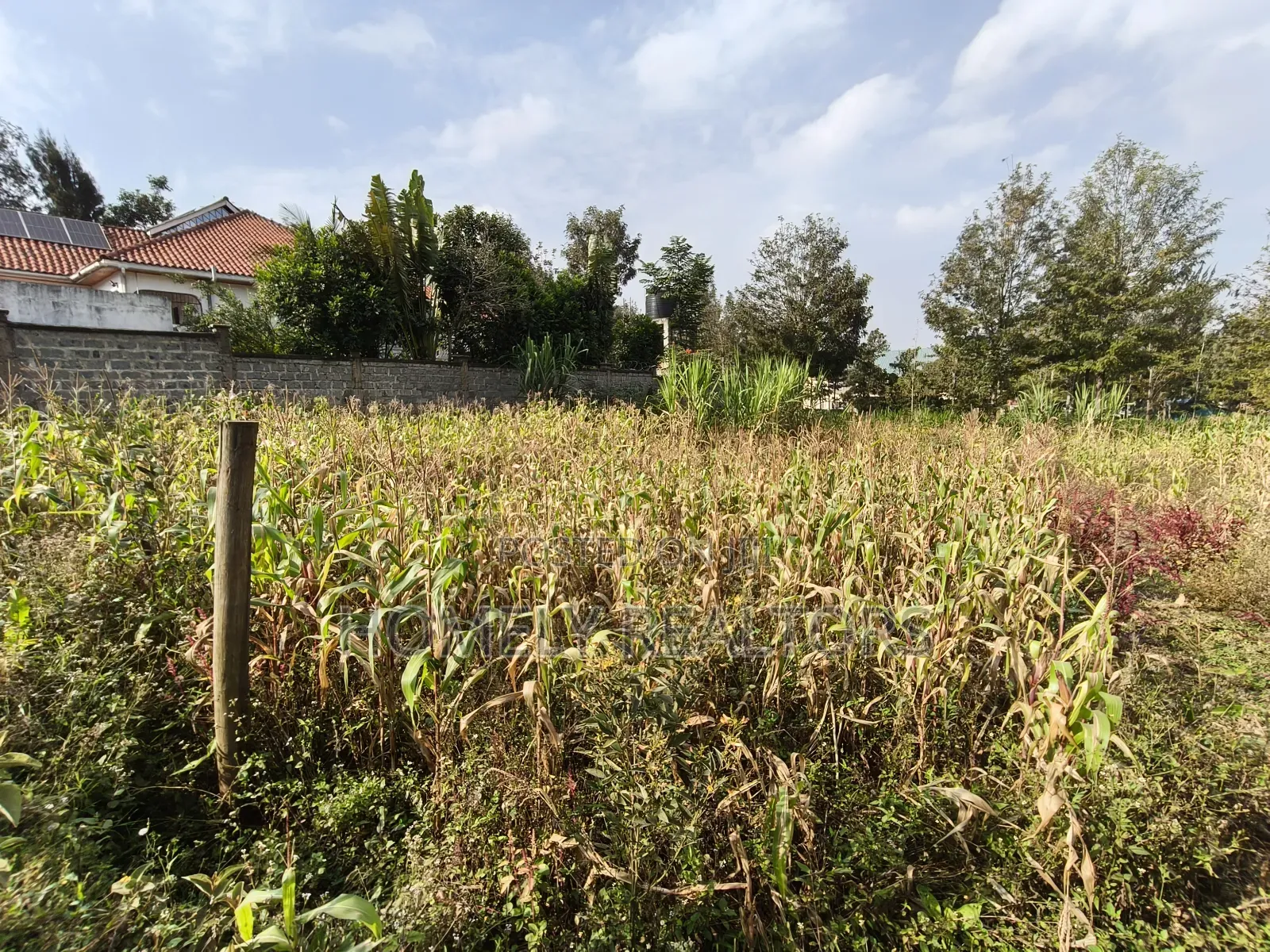 Residential Eighth Acre Plot on Sale in Ngong, Matasia Near Tarmac in Matasia