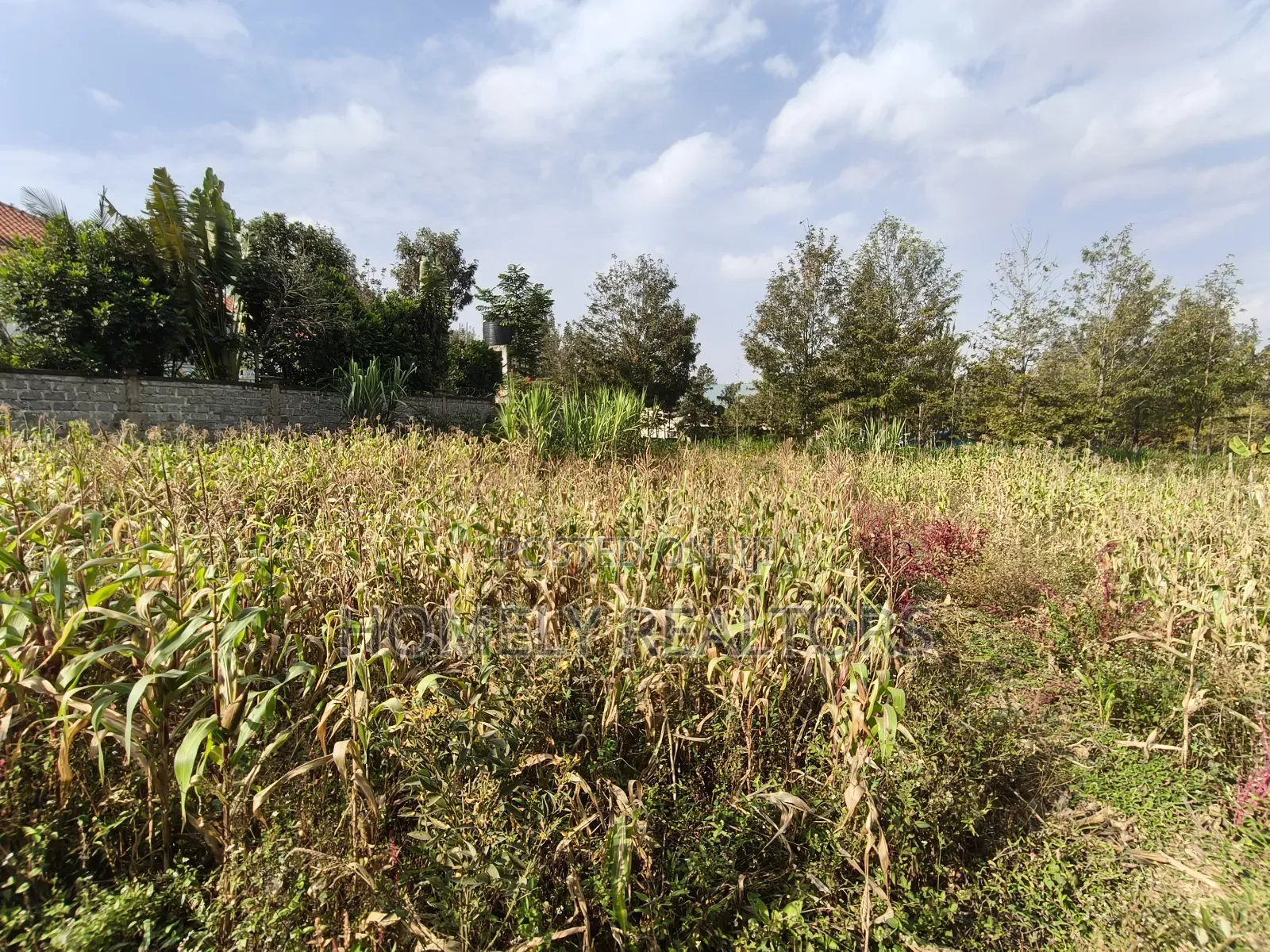 Residential Eighth Acre Plot on Sale in Ngong, Matasia Near Tarmac in Matasia