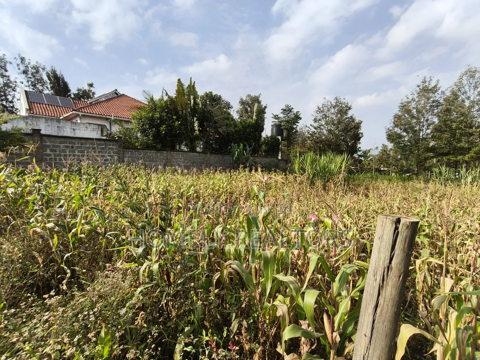 Residential Eighth Acre Plot on Sale in Ngong, Matasia Near Tarmac in Matasia