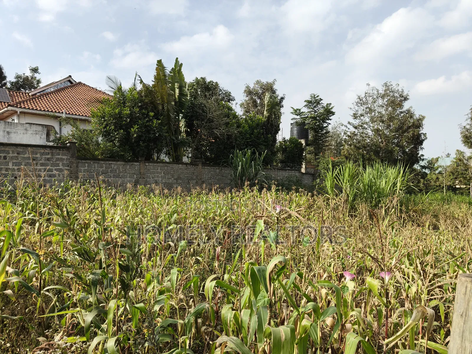 Residential Eighth Acre Plot on Sale in Ngong, Matasia Near Tarmac in Matasia