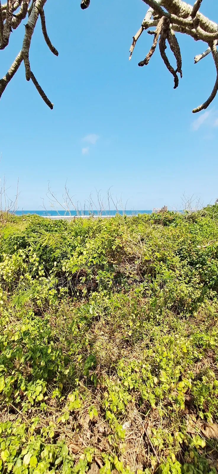 For Sale Quater Acre Beach Plots Vipingo in Vipingo
