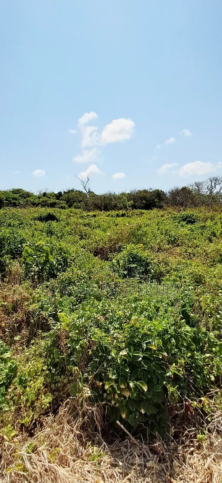 For Sale Quater Acre Beach Plots Vipingo in Vipingo