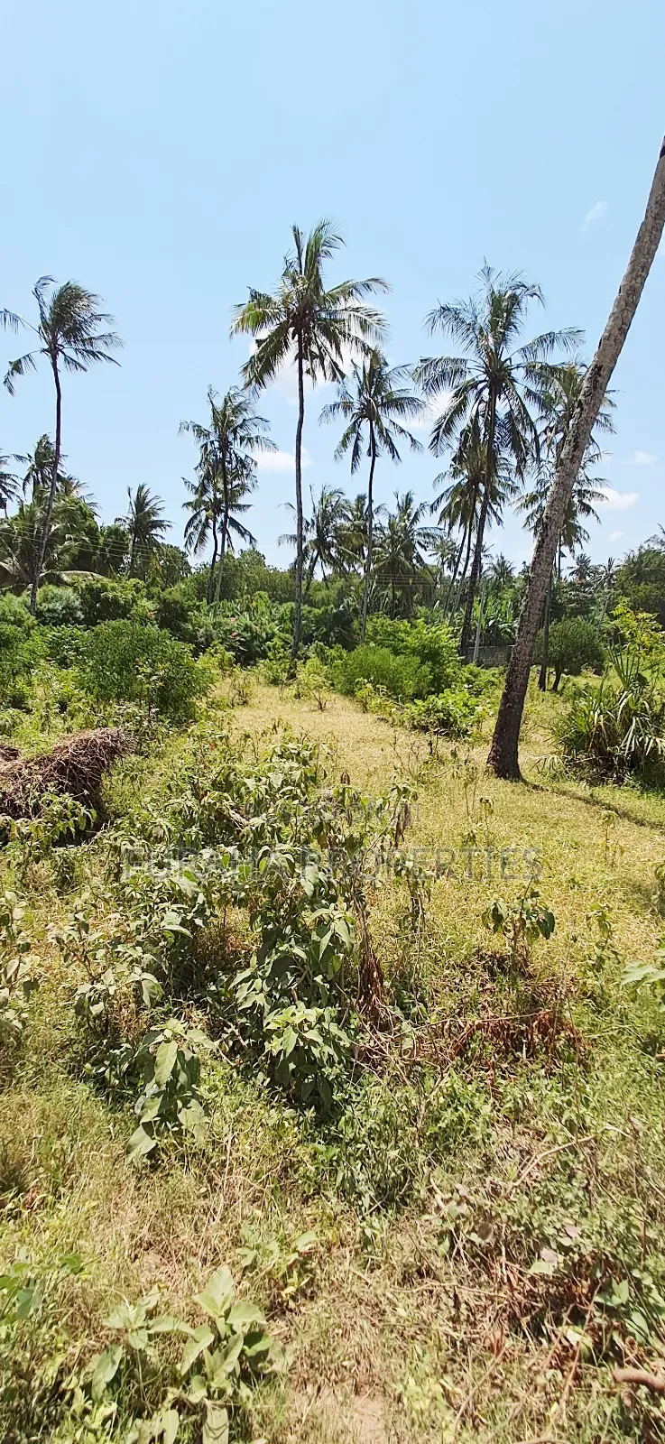 For Sale Quater Acre Plot Kikambala in Kikambala