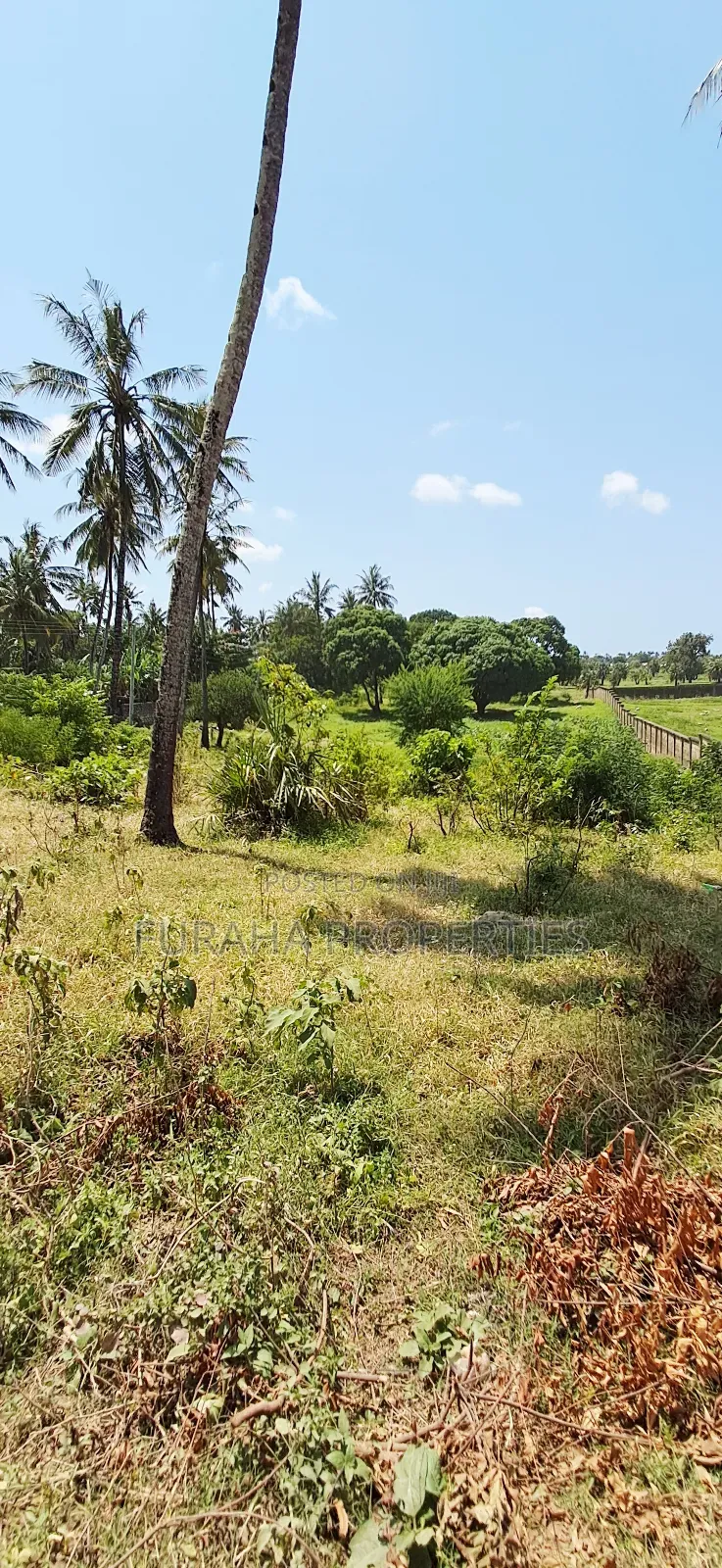 For Sale Quater Acre Plot Kikambala in Kikambala