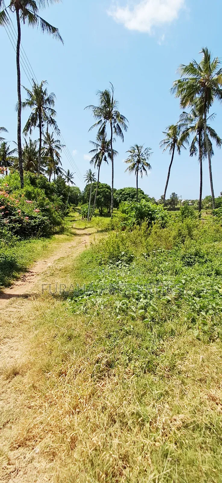 For Sale Quater Acre Plot Kikambala in Kikambala