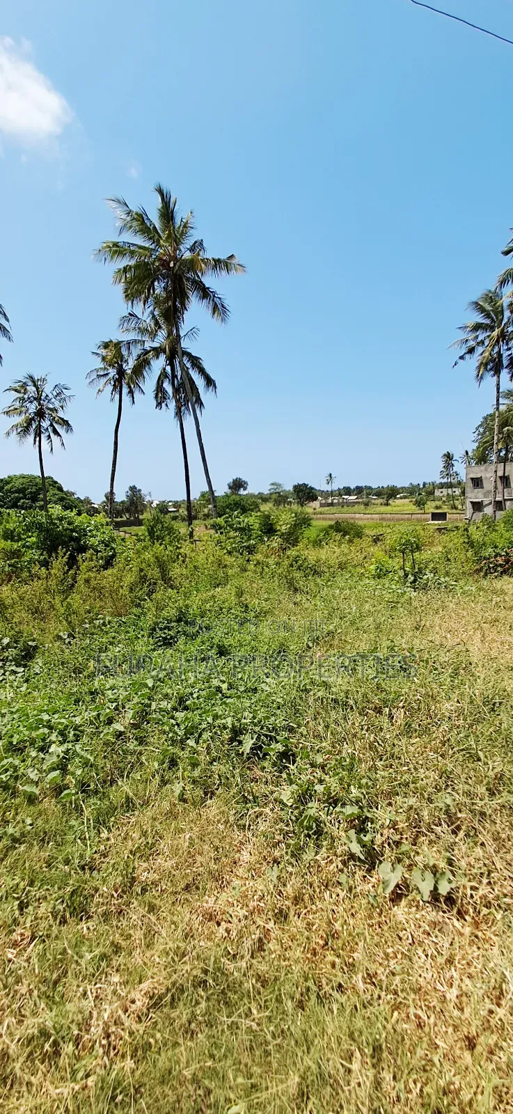 For Sale Quater Acre Plot Kikambala in Kikambala