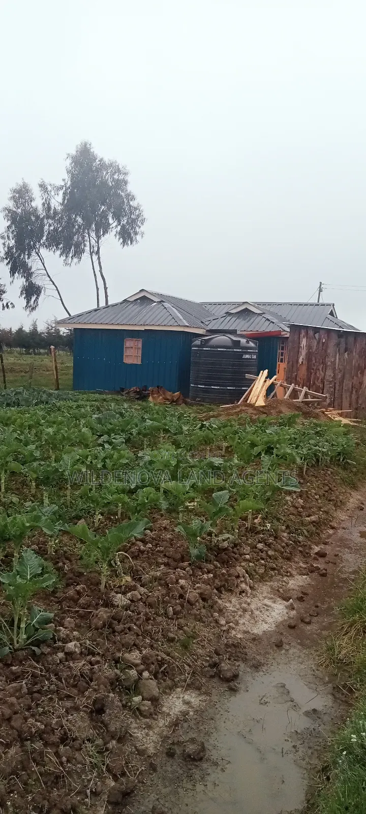 Land on Sale at Kinangop in Magumu