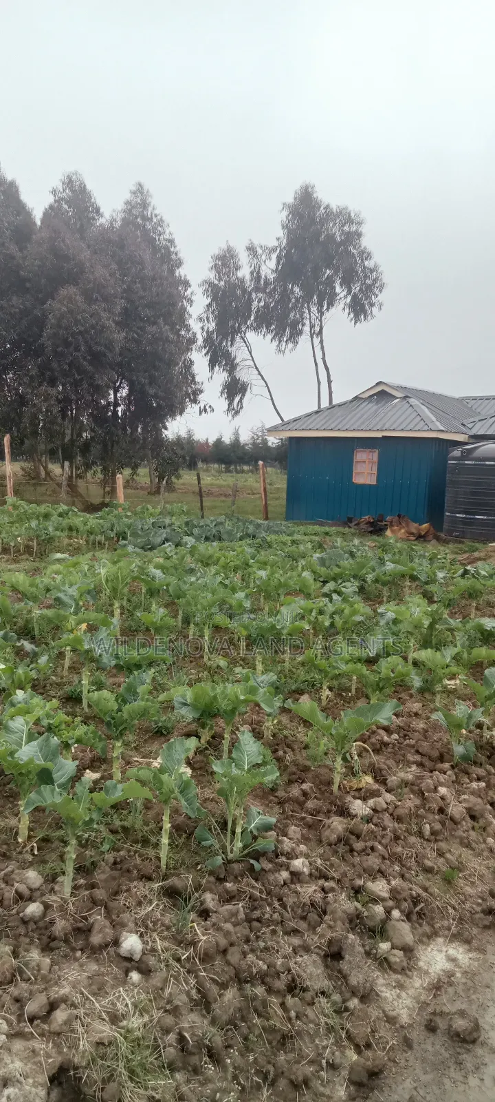 Land on Sale at Kinangop in Magumu