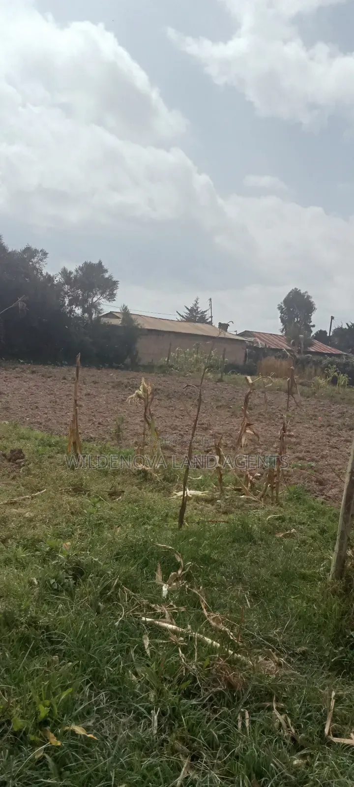 Land on Sale at Kinangop in Magumu