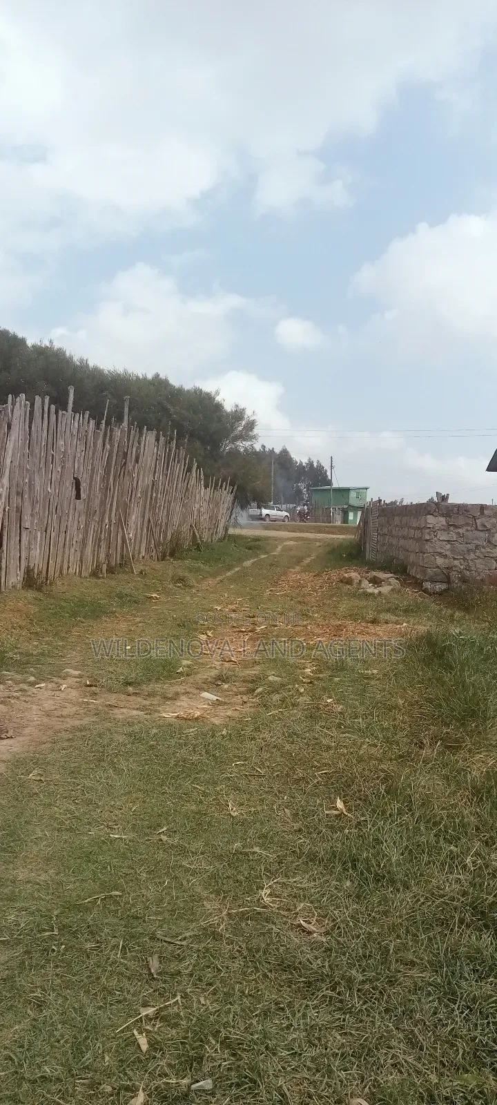 Land on Sale at Kinangop in Magumu