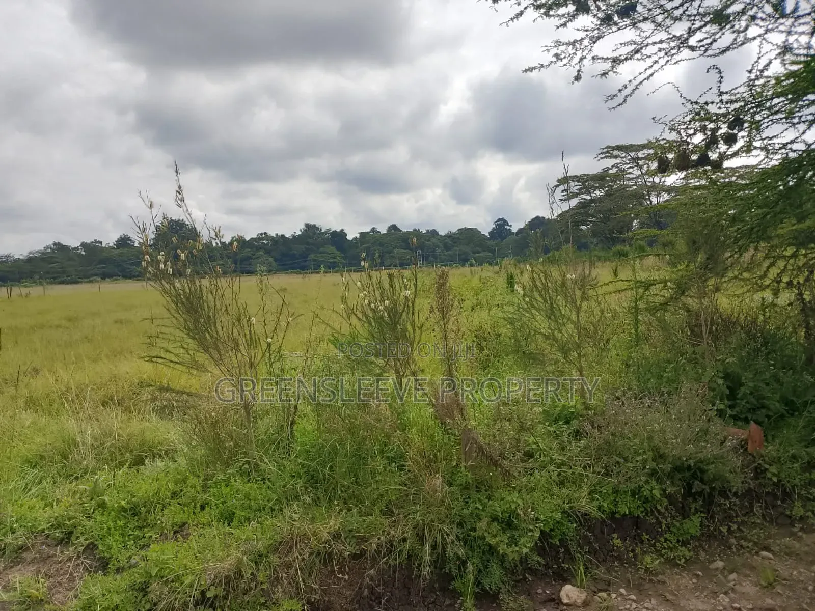 Land for Sale in Karen