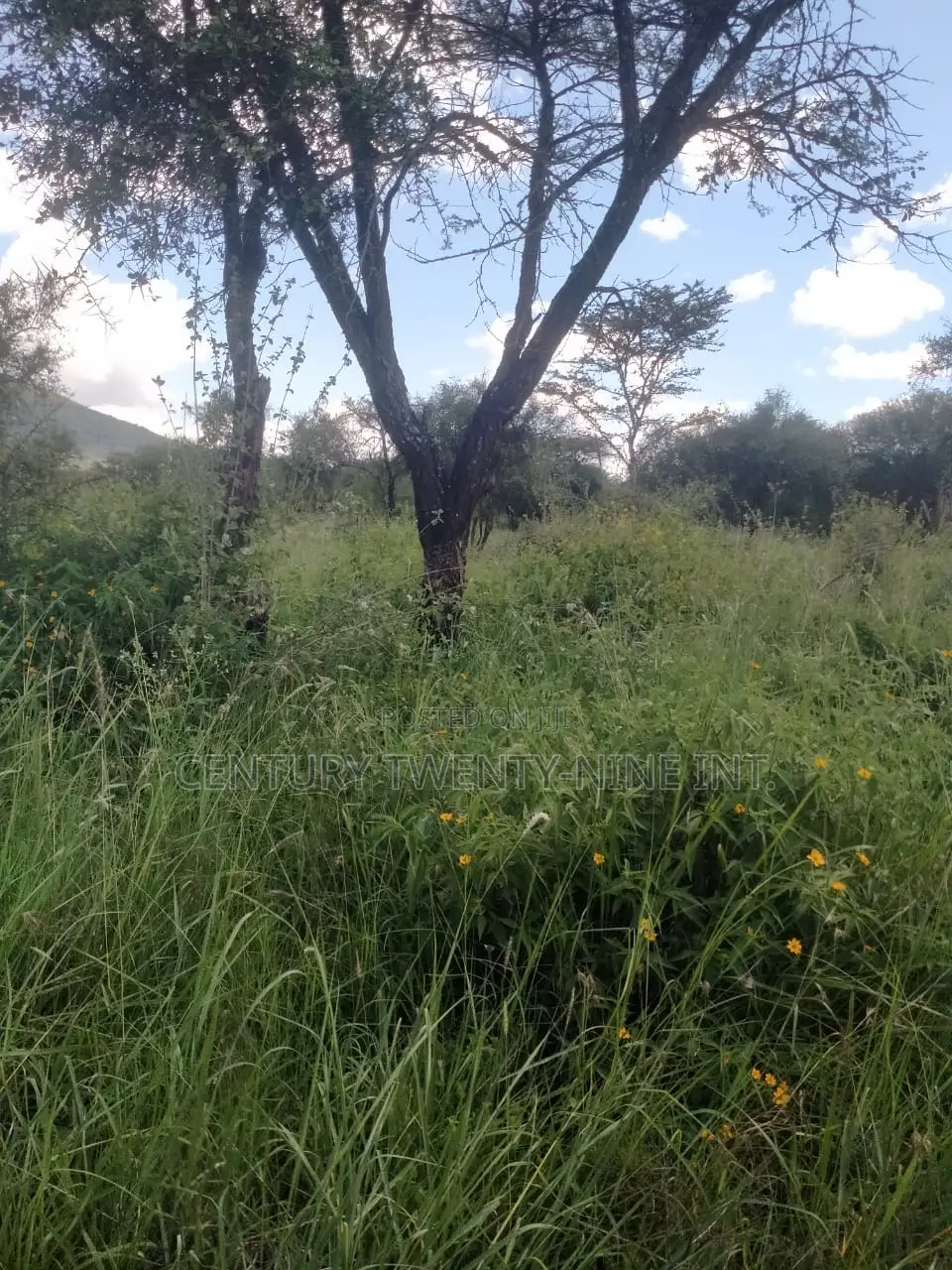 Konza South Land in Kiima Kiu/Kalanzoni