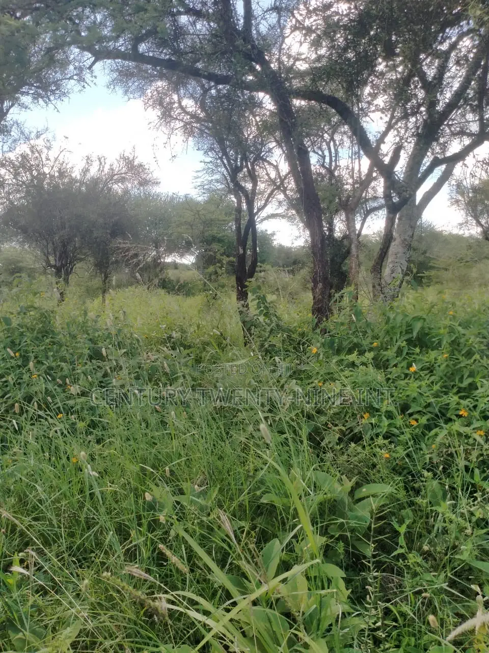 Konza South Land in Kiima Kiu/Kalanzoni