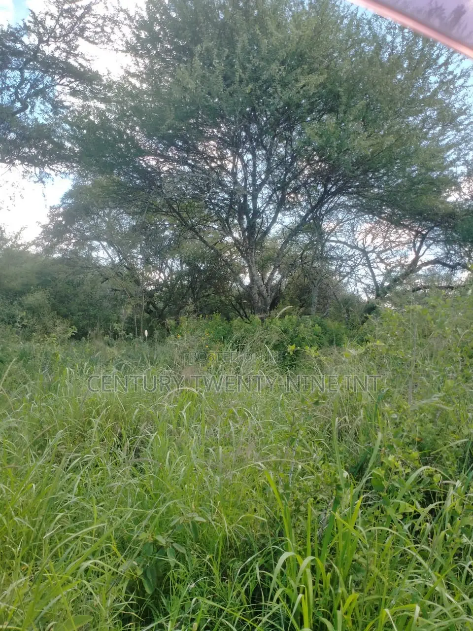 Konza South Land in Kiima Kiu/Kalanzoni