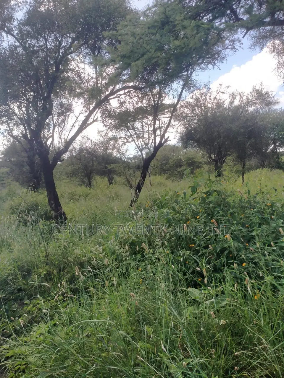 Konza South Land in Kiima Kiu/Kalanzoni