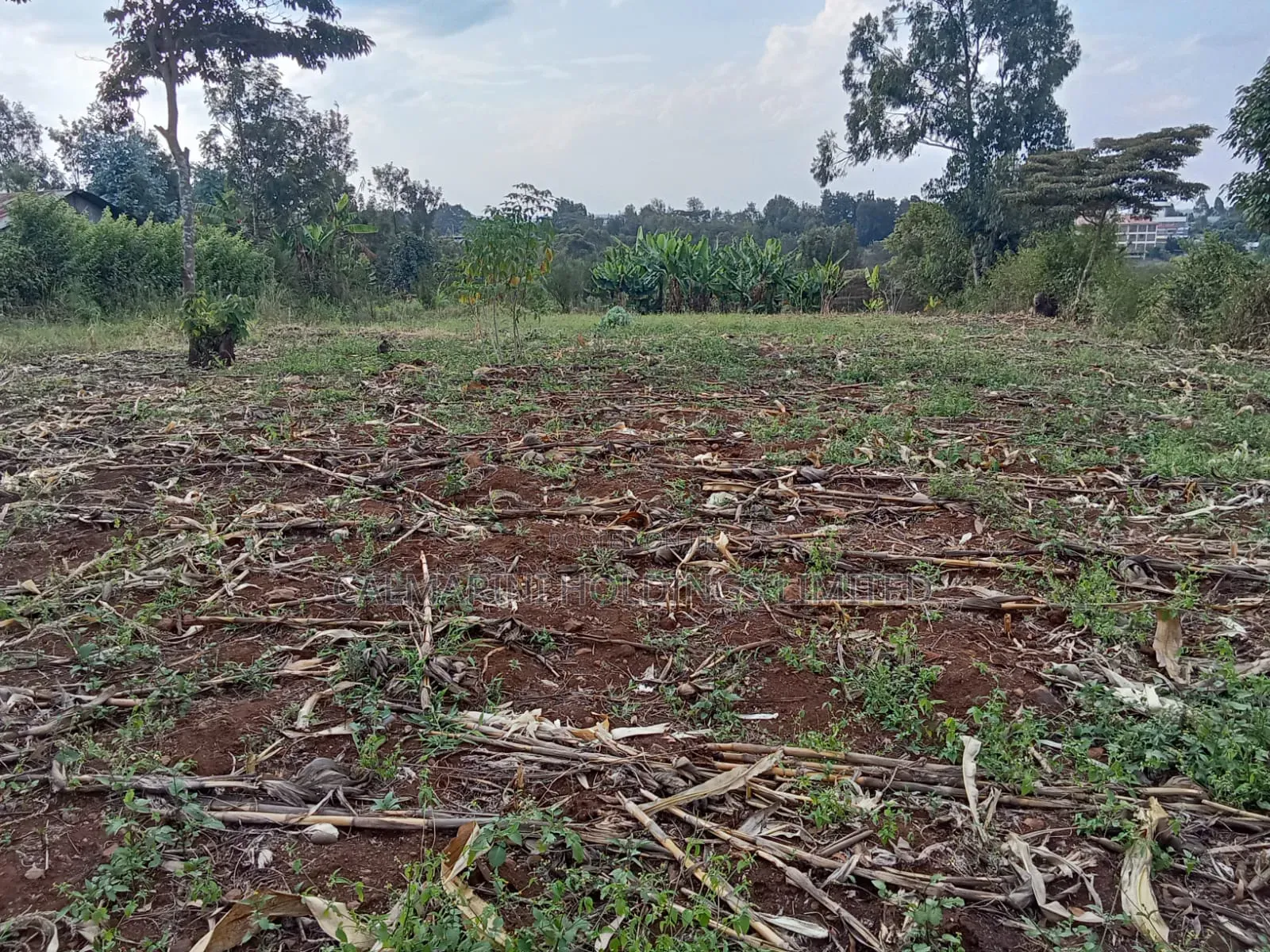 Prime Quarter Acre (0.104ha) in Olkeri, Ngong in Ol Keri