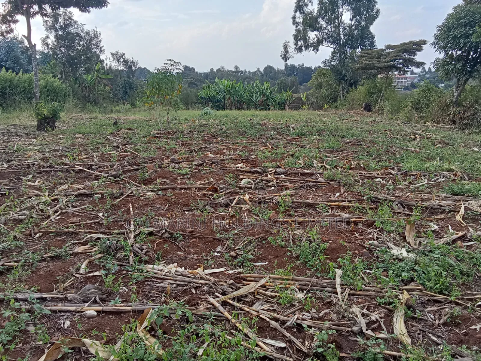 Prime Quarter Acre (0.104ha) in Olkeri, Ngong in Ol Keri