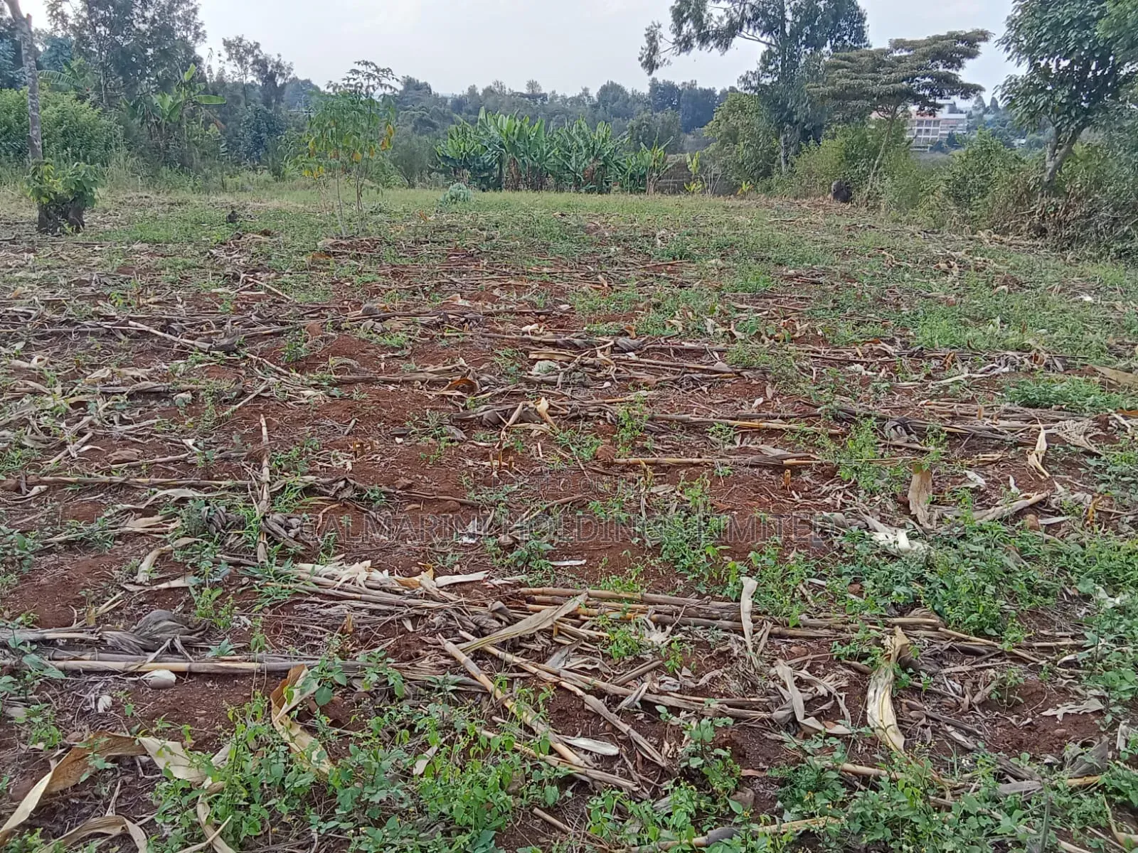 Prime Quarter Acre (0.104ha) in Olkeri, Ngong in Ol Keri