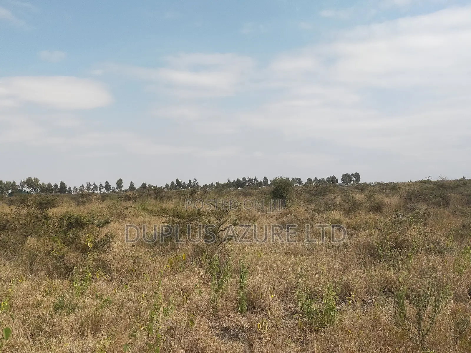 4 Acres in Kajiado-Ildamat in Ildamat