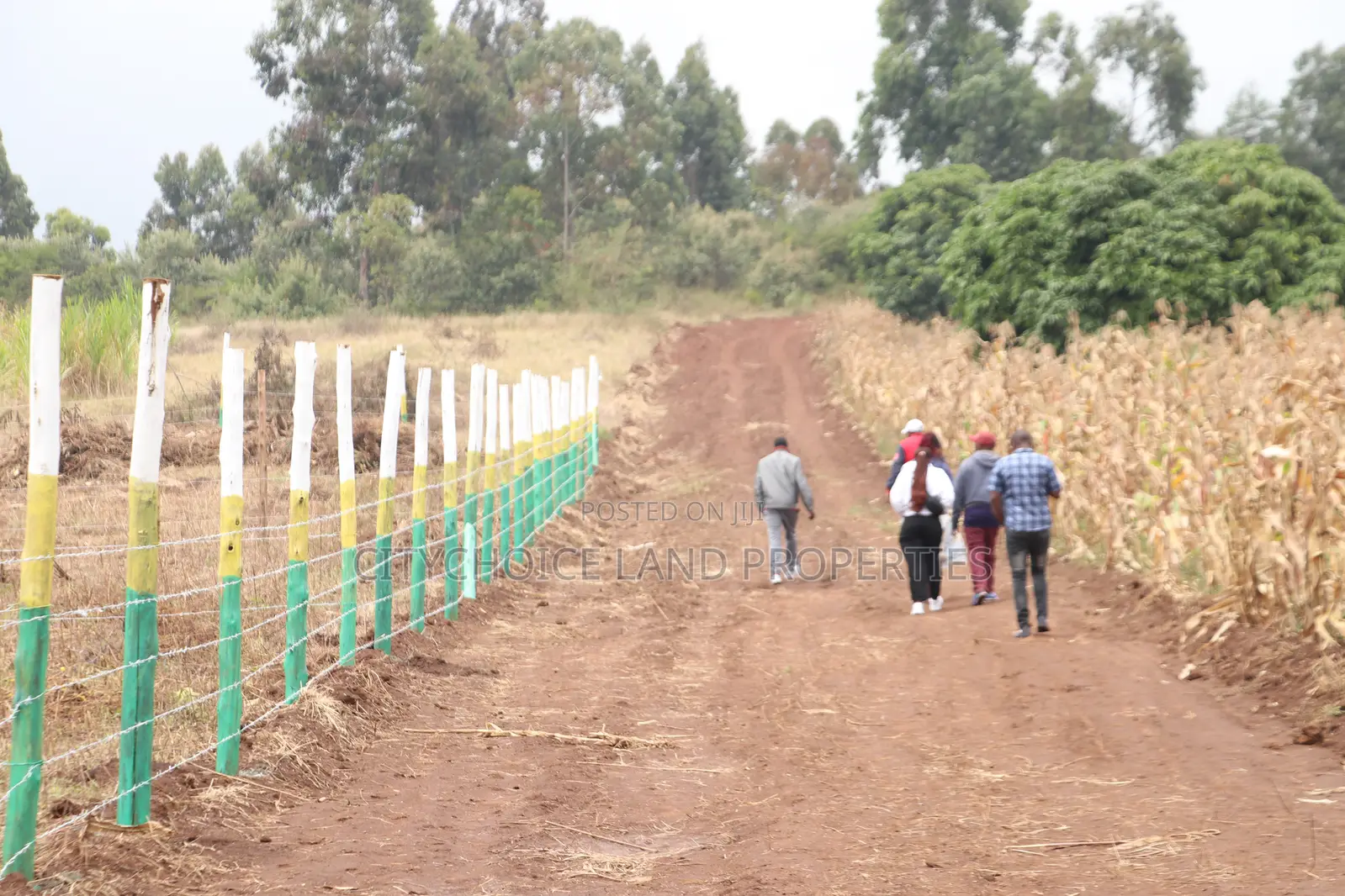 Have a Plot in Mbomboini Estate in Karai