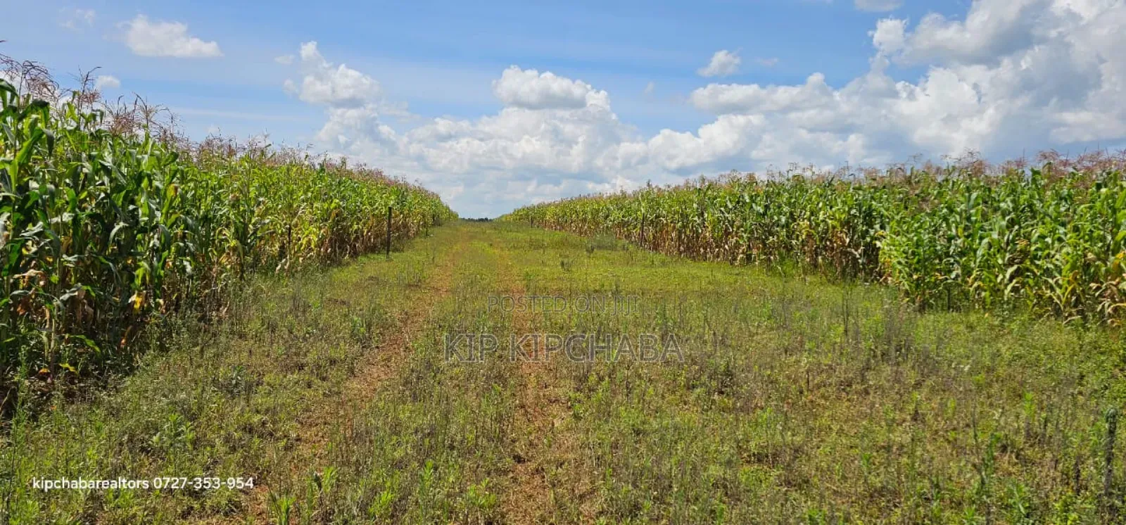 Prime Plots for Sale in Illula Limo in Eldoret in Illula
