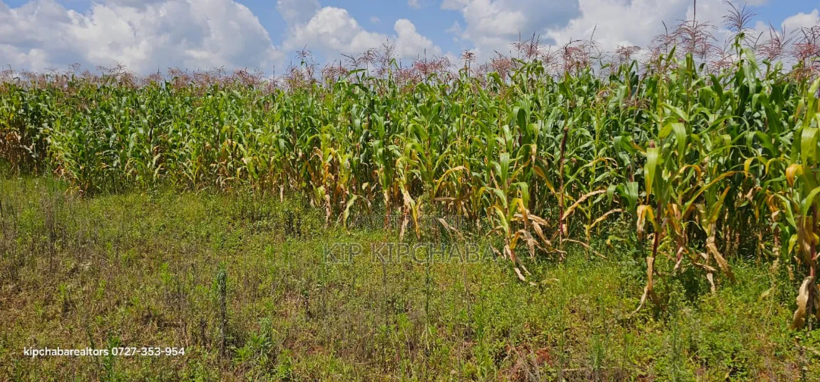Prime Plots for Sale in Illula Limo in Eldoret in Illula