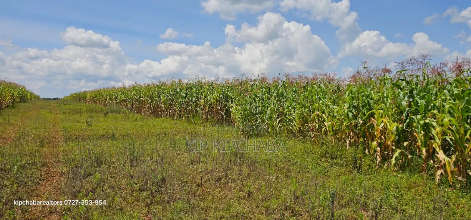 Prime Plots for Sale in Illula Limo in Eldoret in Illula