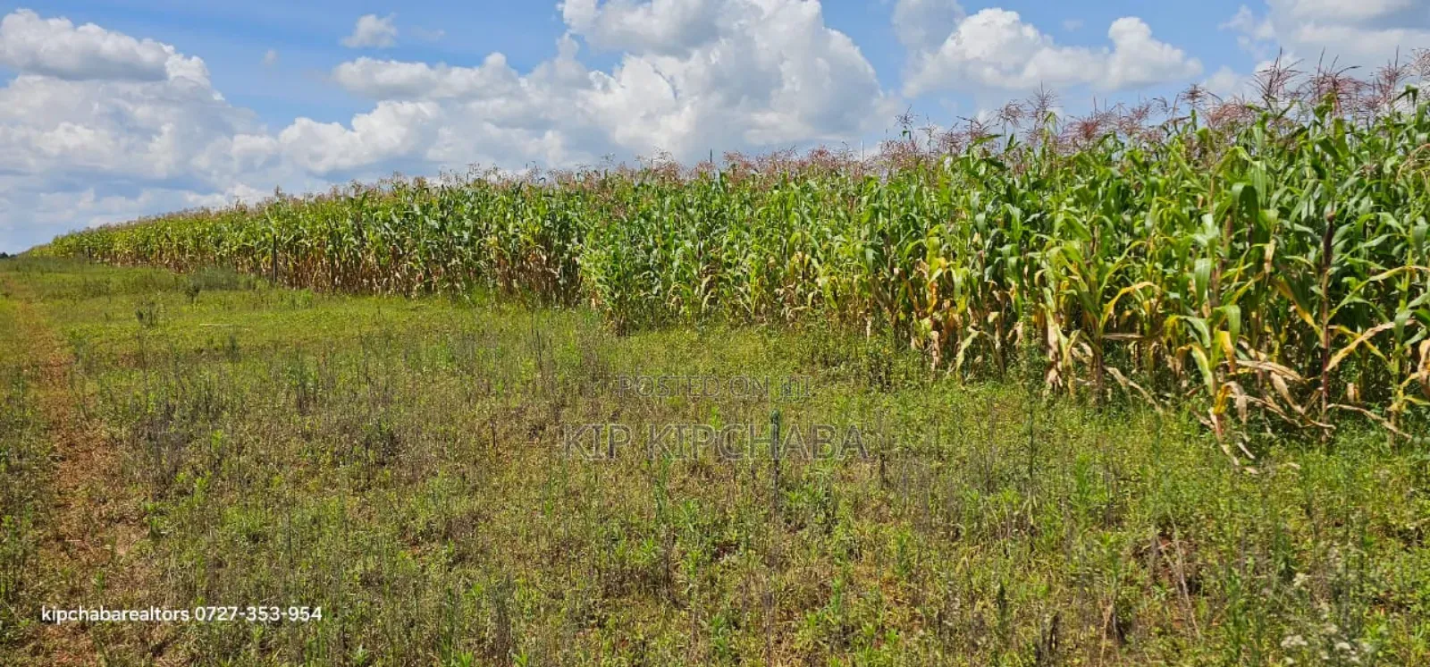 Prime Plots for Sale in Illula Limo in Eldoret in Illula