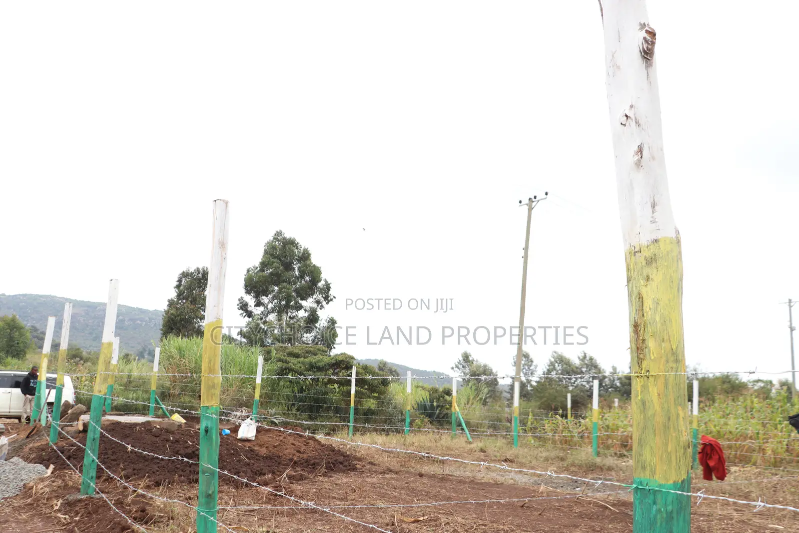 Affordable 50x100 Plots for Sale – Mbomboini Estate in Karai