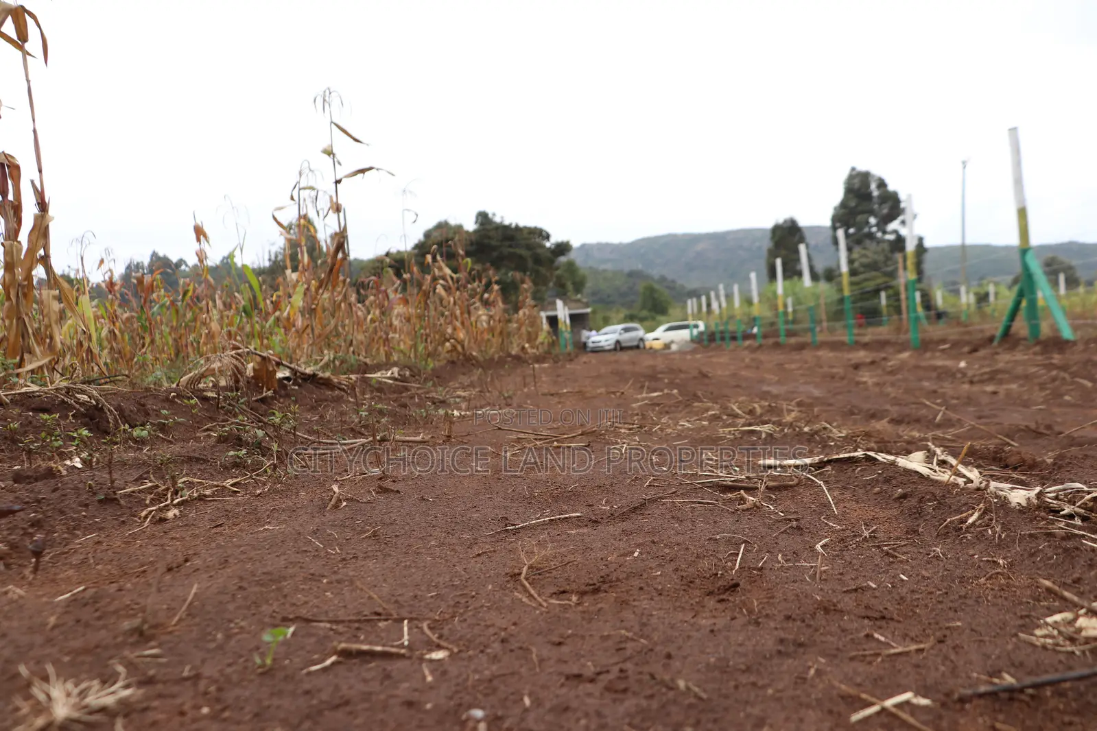 Affordable 50x100 Plots for Sale – Mbomboini Estate in Karai