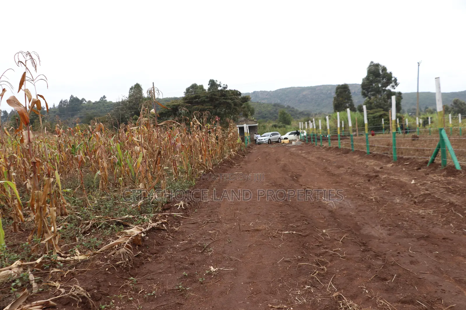 Affordable 50x100 Plots for Sale – Mbomboini Estate in Karai