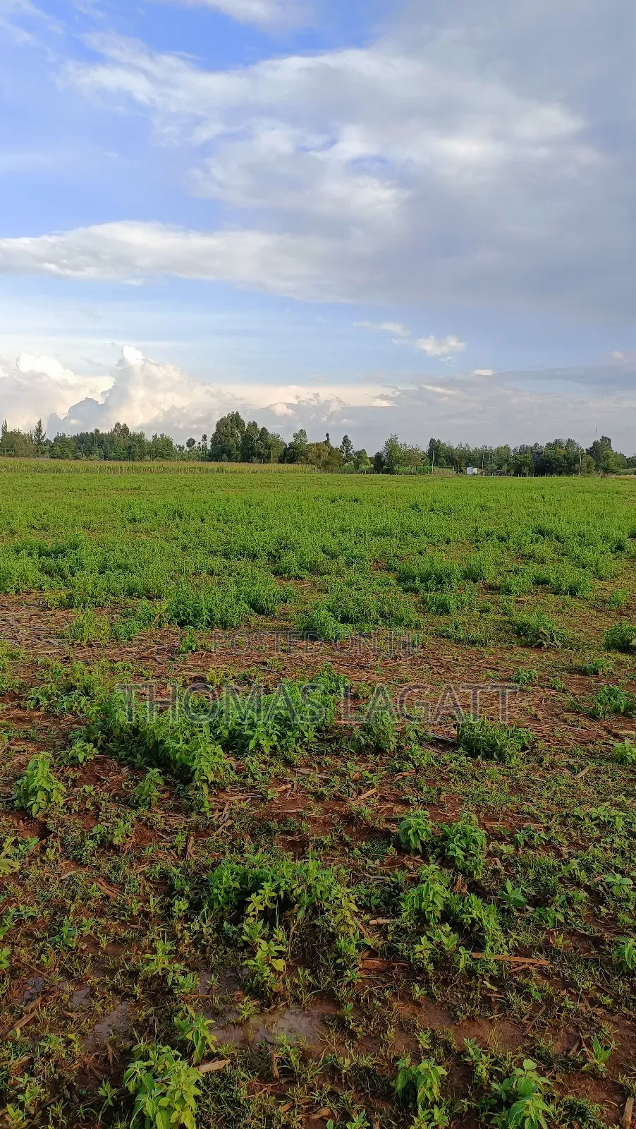 Eldoret Illula Residential Plots on Sale in Illula