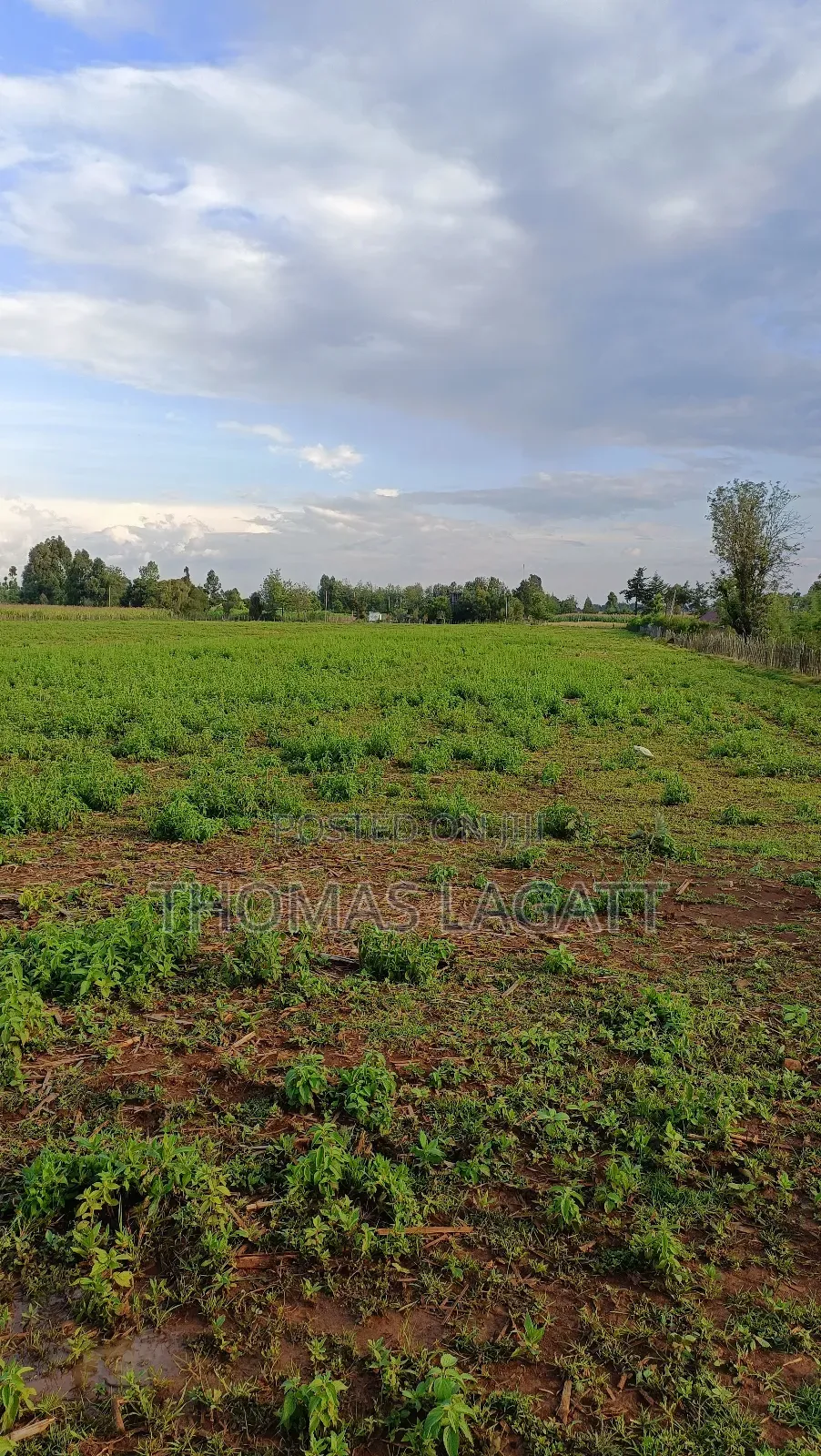 Eldoret Illula Residential Plots on Sale in Illula