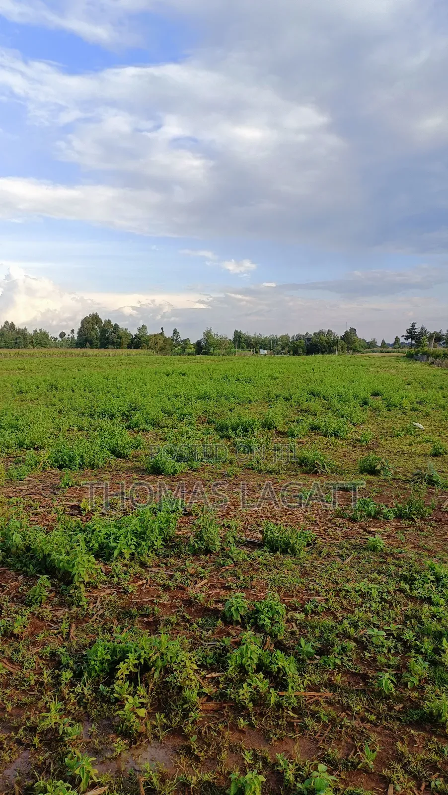 Eldoret Illula Residential Plots on Sale in Illula