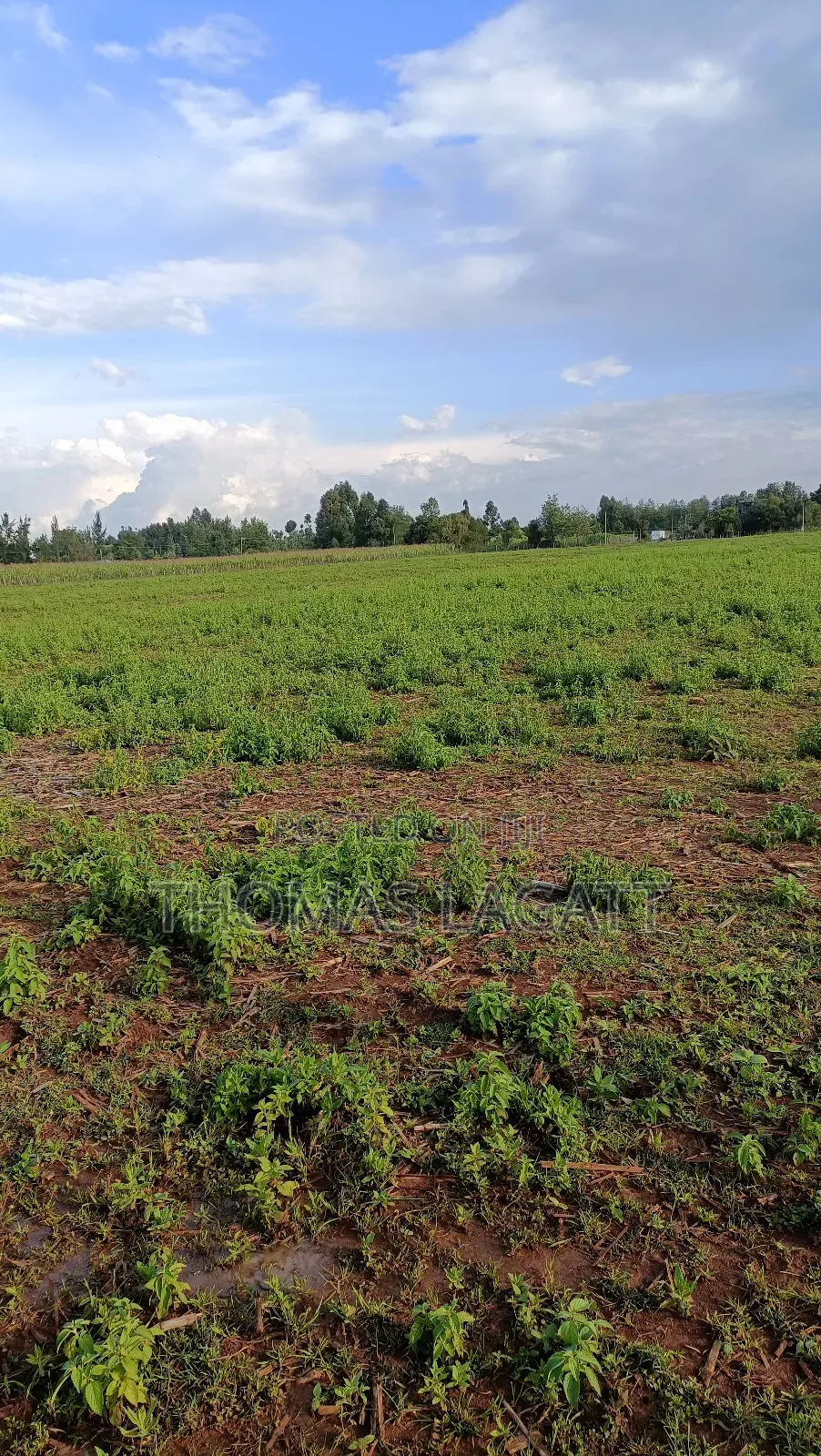Eldoret Illula Residential Plots on Sale in Illula