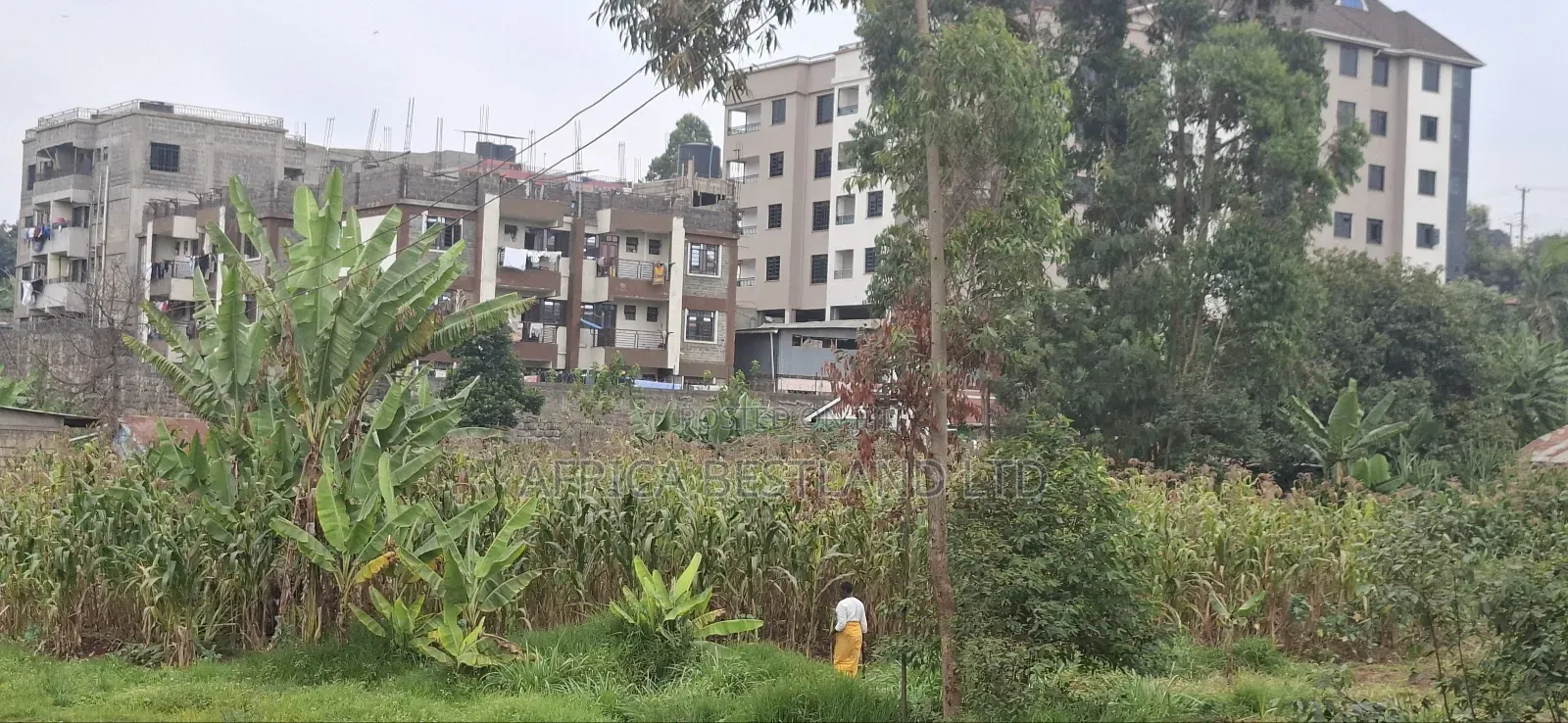 62x100 Available Plot for Sale in Gitaru in Kabete